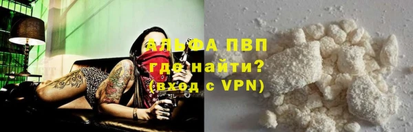 дмт Бородино