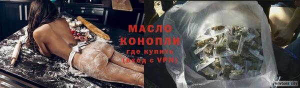 дмт Бородино