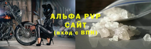 дмт Бородино
