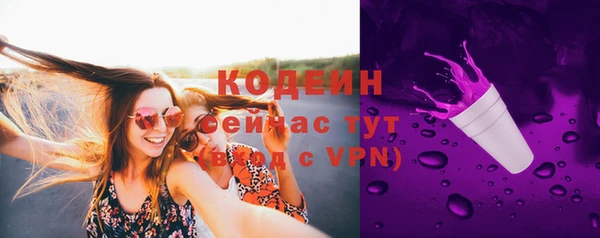 ешки Бронницы