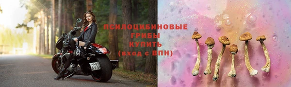 прущие грибы Бугульма