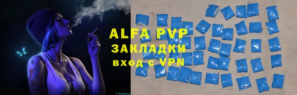 прущие грибы Бугульма