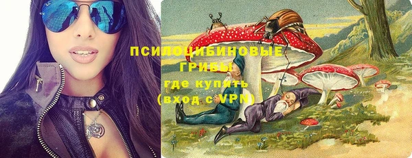 ешки Бронницы