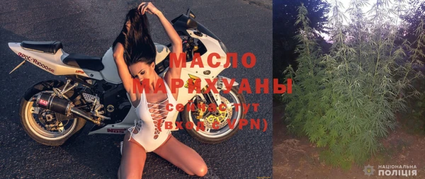 дмт Бородино