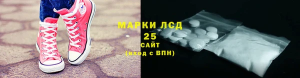 дмт Бородино