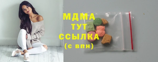 дмт Бородино