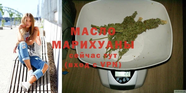 дмт Бородино